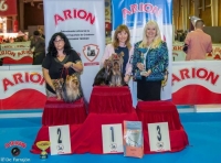 MINATERRA: YORKSHIRE TERRIER SPECIALITY SHOW OF AECYT.