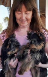 Minaterra ALISON y GATSBY.