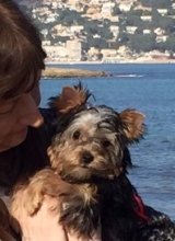 Minaterra CHARLOTTE.