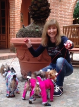 ENZO,TANA y SHINE en Talavera de la Reina 2015.