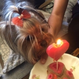 Minaterra CANDELA, cumple 1 añito.