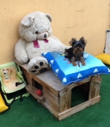 Minaterra GATSBY....siempre en lo más alto.