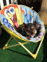 Minaterra GATSBY en su hamaquita tomando el sol.