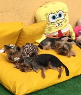 De relax, tomando el sol.