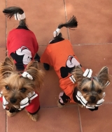 Minaterra PELAYO y SOFIA con 11 meses.