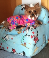 Nuestra SHINE en su sillón Disney.