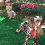 Minaterra MAVERICK quiere su premio.