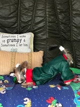 Minaterra SOFIA mordiendo su patito....es un trasto.