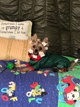 Minaterra SOFIA 10 meses.