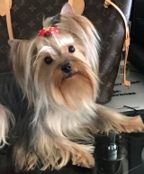 Minaterra CANDELA, es una preciosidad.