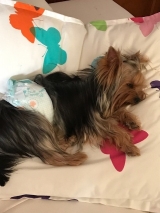 Minaterra PELAYO con 10 meses duerme.