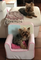 Minaterra MADISON y SHINE.