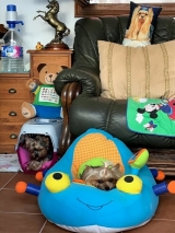 Cada cual en su sitio preferido.