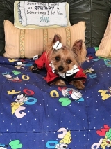 Minaterra PELAYO, en su sofá con 11 meses.