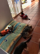 Tardes de verano en el porche cubierto.