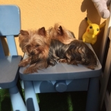 Minaterra MADISON y MIA, tomando el solecito. primaveral.