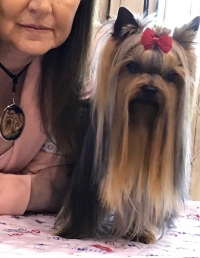 MINATERRA: 1ª EXPOSICION NACIONAL Y 1ª EXPOSICION INTERNACIONAL CANINA DO RIBATEJO-SANTAREM-PORTUGAL.