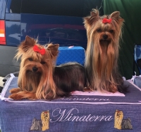 MINATERRA: 35ª EXPOSICION CANINA INTERNACIONAL DE SINTRA 2018- PORTUGAL.