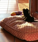 Minaterra ATHINA con 3 meses.