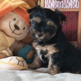 Minaterra MERRY, un mes y medio.