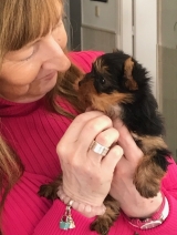 Minaterra BLUE ROMY con 1 mes y medio.