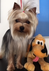 Minaterra CHARLOTTE con 5 meses.